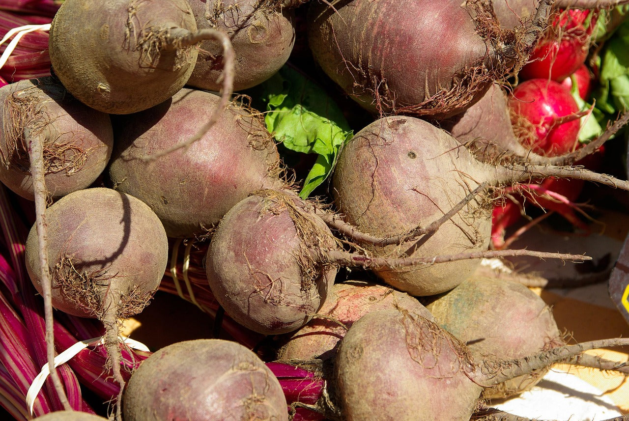 Green Top Bunching Beet